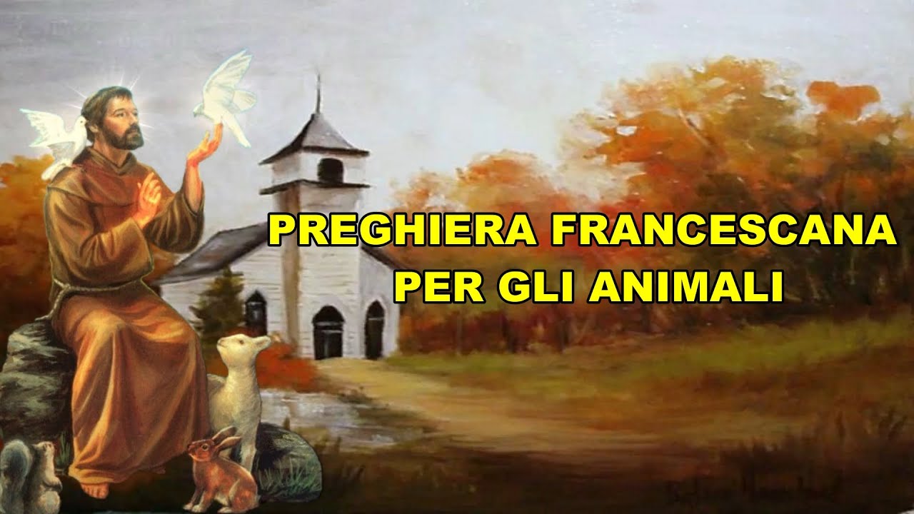 Preghiera a san francesco per gli animali - Parrocchia San Giuseppe