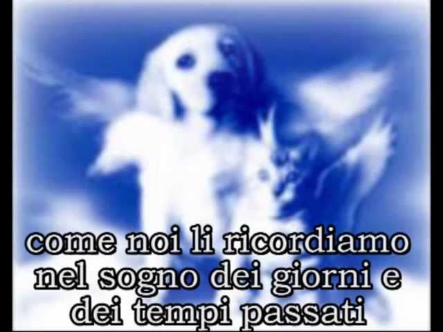 Preghiera del cane morto - Parrocchia San Giuseppe Manfredonia