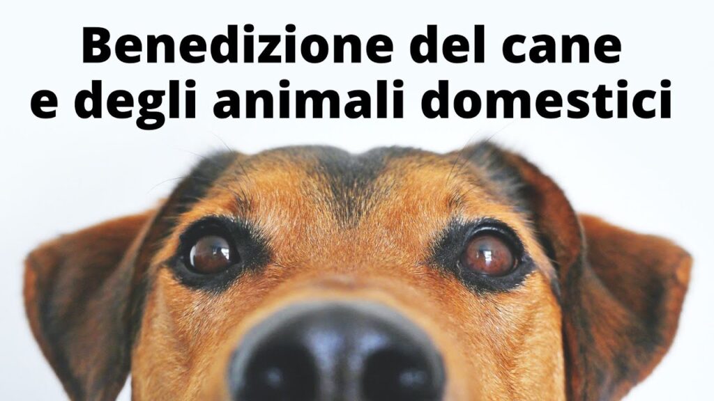 Preghiera per animali morti - Parrocchia San Giuseppe Manfredonia